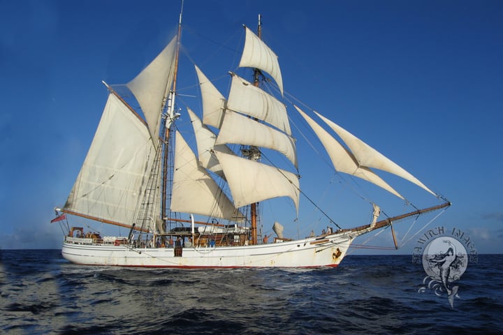 Soren Larsen thumbnail