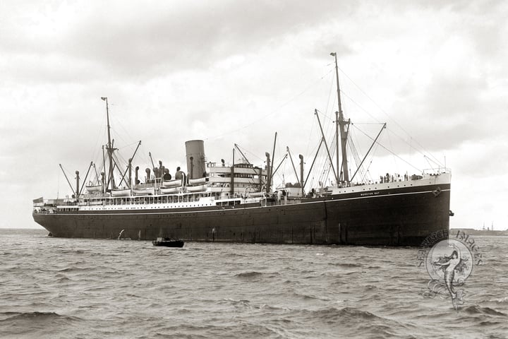 Moreton Bay thumbnail