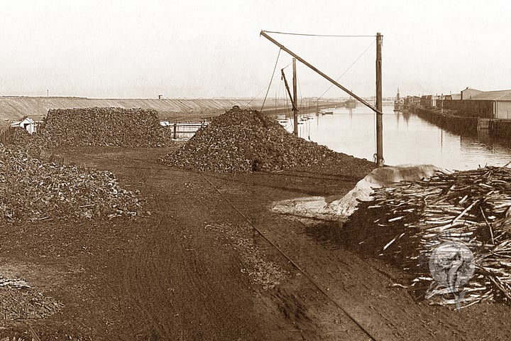 Portland Canal Wharf at Port Adelaide, circa 1900