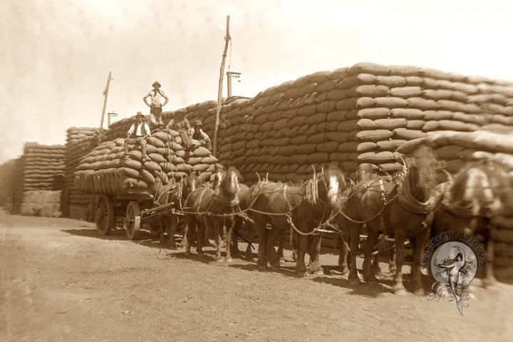 Wheat Stack and Horse-Drawn Dray at Farrell Flat, South Australia, 1871