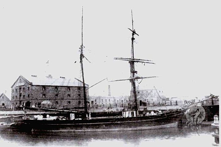 Lady Robinson thumbnail