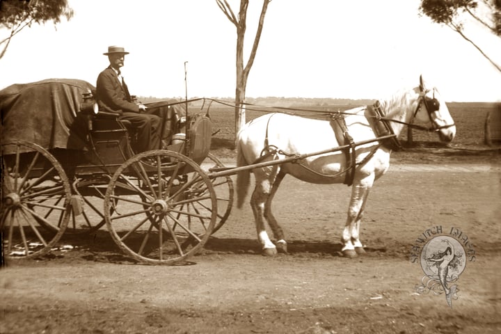 Country Grocer's Horse-Drawn Delivery Cart, Farrell Flat, South Australia, c.1900