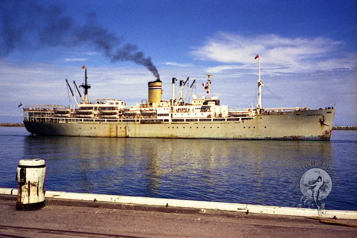 Groote Beer thumbnail