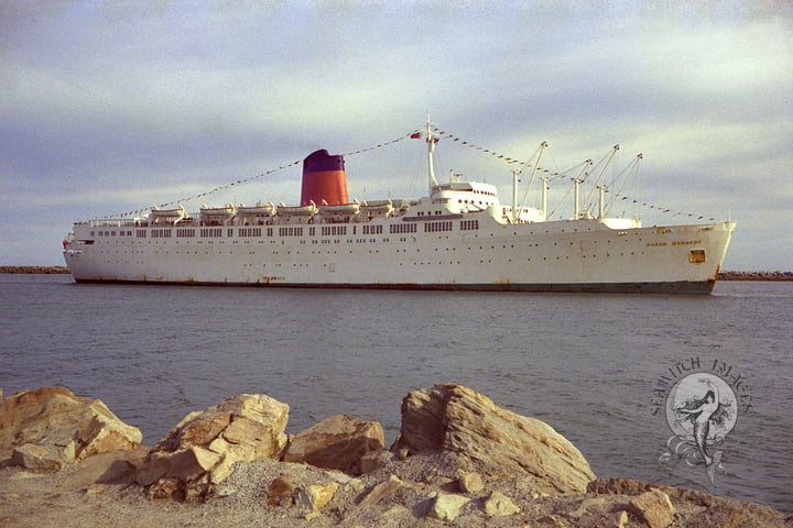 Ocean Monarch thumbnail