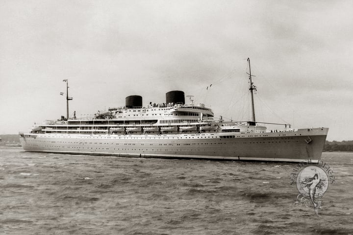 Willem Ruys thumbnail