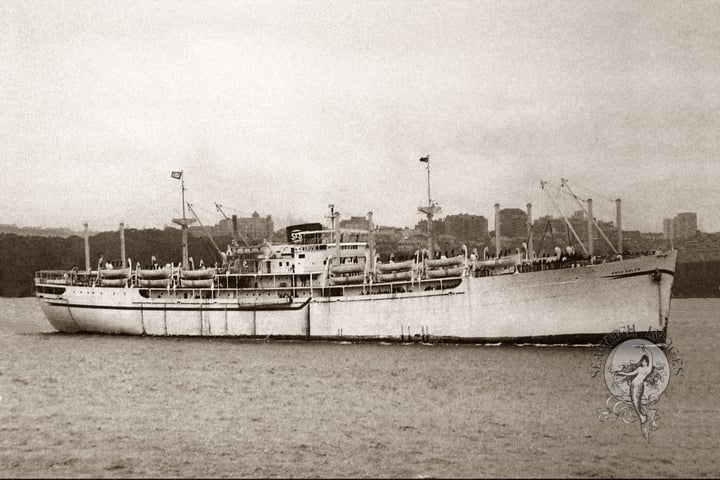 Anna Salen thumbnail