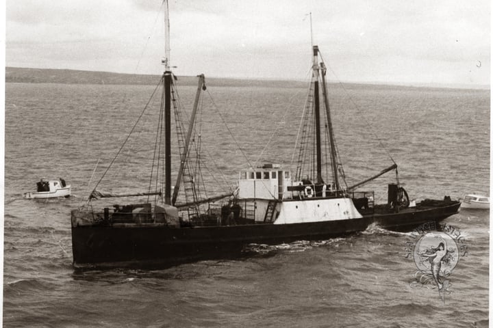 MV Nelcebee thumbnail
